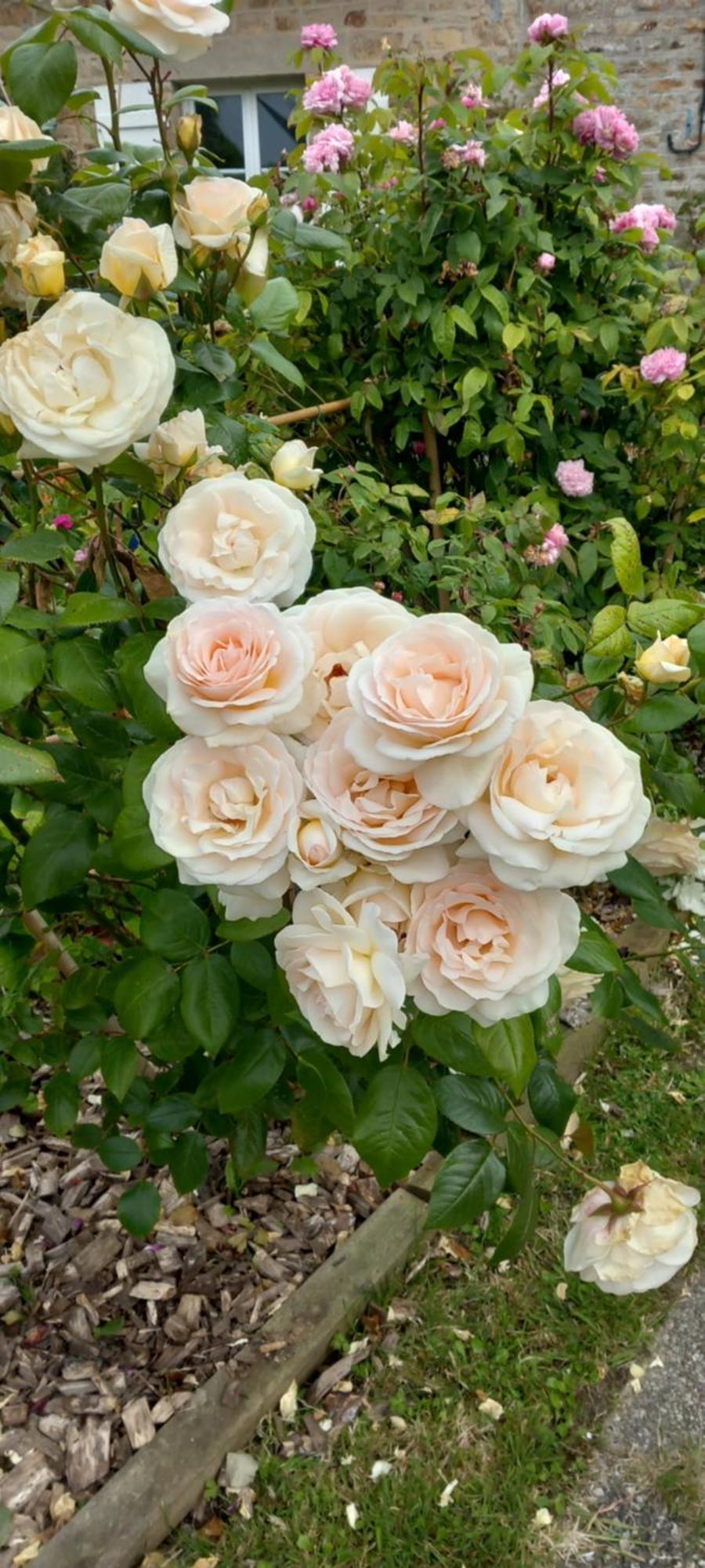 La Chatre Ronthon Luaran gambar